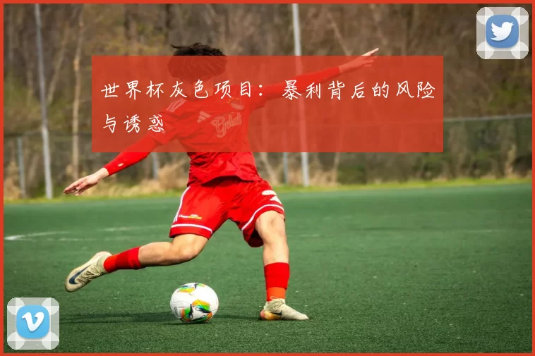 世界杯灰色项目：暴利背后的风险与诱惑