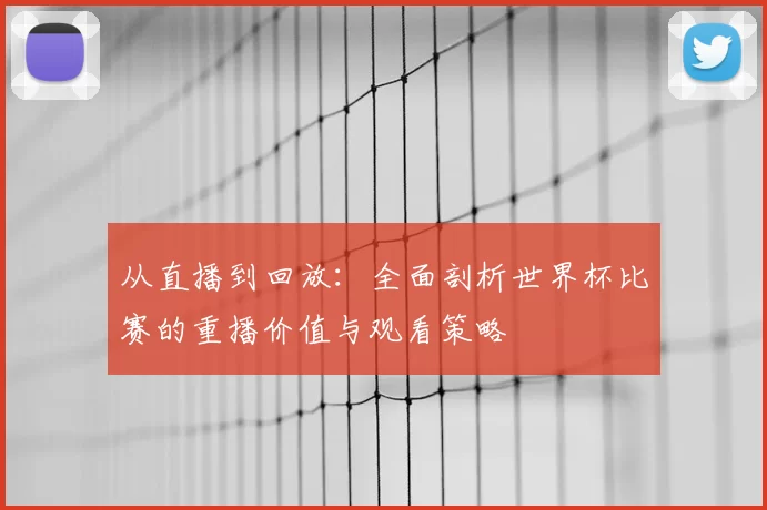 从直播到回放：全面剖析世界杯比赛的重播价值与观看策略