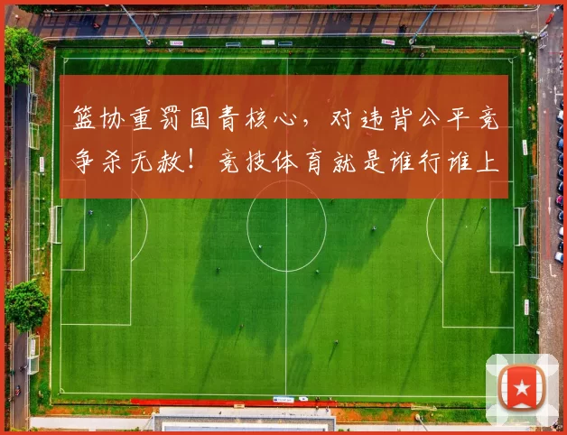 篮协重罚国青核心，对违背公平竞争杀无赦！竞技体育就是谁行谁上