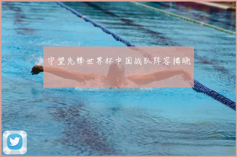 守望先锋世界杯中国战队阵容揭晓