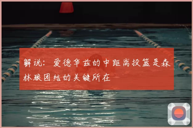 解说：爱德华兹的中距离投篮是森林狼团结的关键所在