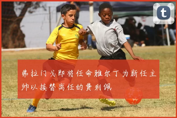 弗拉门戈即将任命雅尔丁为新任主帅以接替离任的费利佩