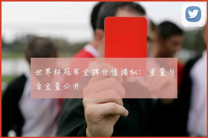 世界杯冠军金牌价值揭秘：重量与含金量公开