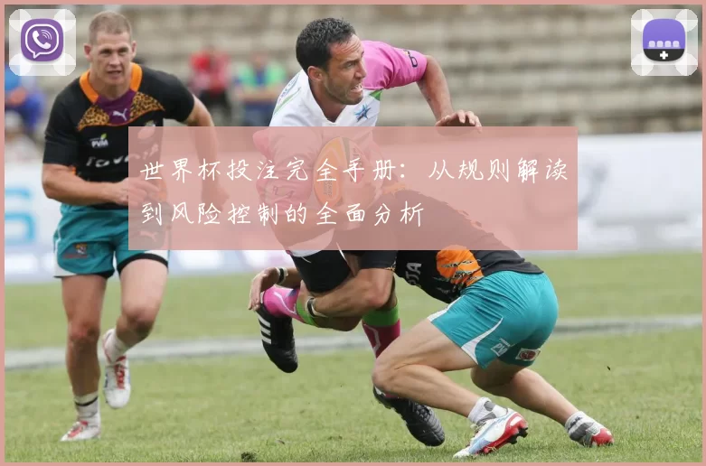 世界杯投注完全手册：从规则解读到风险控制的全面分析