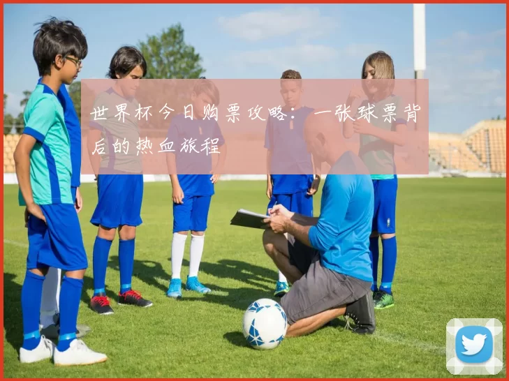 世界杯今日购票攻略:一张球票背后的热血旅程