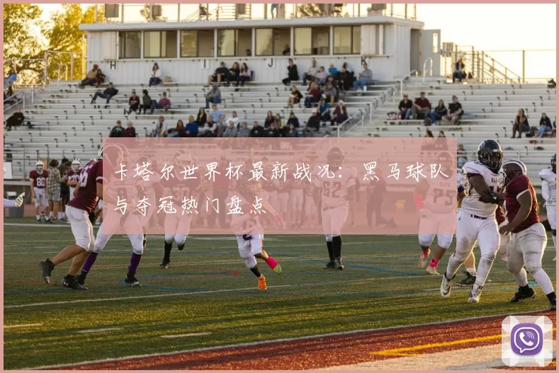 卡塔尔世界杯最新战况：黑马球队与夺冠热门盘点
