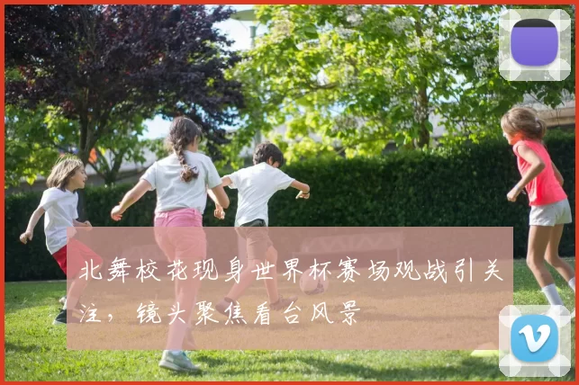 北舞校花现身世界杯赛场观战引关注,镜头聚焦看台风景
