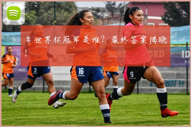 年世界杯冠军是谁？最终答案揭晓！