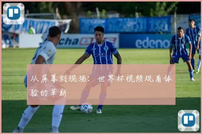 从屏幕到现场：世界杯视频观看体验的革新