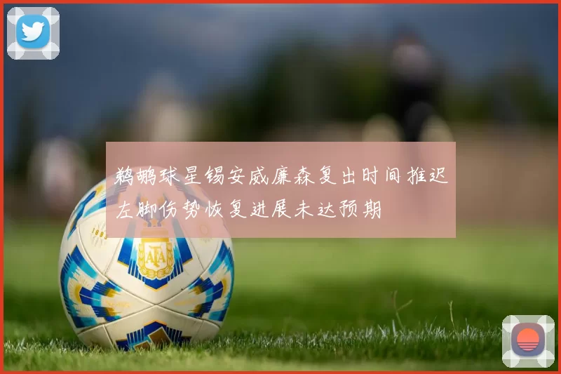 鹈鹕球星锡安威廉森复出时间推迟左脚伤势恢复进展未达预期