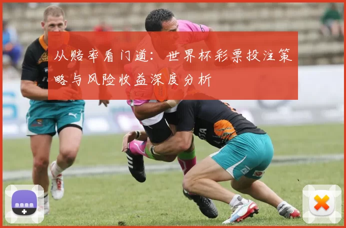 从赔率看门道：世界杯彩票投注策略与风险收益深度分析