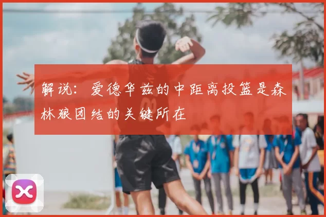 解说：爱德华兹的中距离投篮是森林狼团结的关键所在
