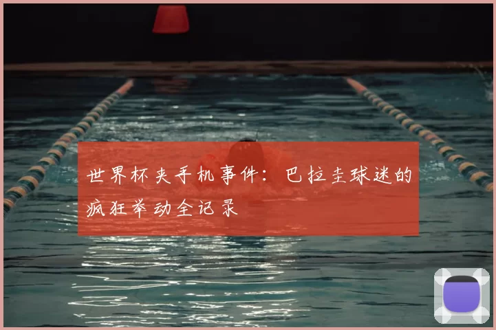 世界杯夹手机事件：巴拉圭球迷的疯狂举动全记录